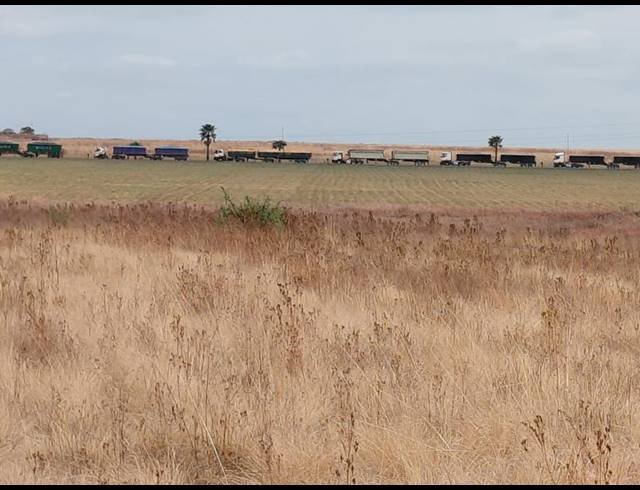 FARM FOR SALE IN BOSCHFONTEIN AH